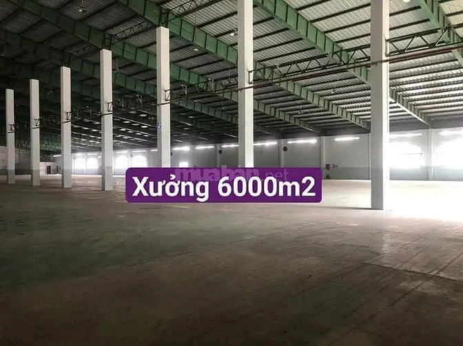 Cho Thuê Kho Xưởng Tỉnh Lộ 15, Củ Chi, Kv : 14.000M2 , Xd : 8.200M2