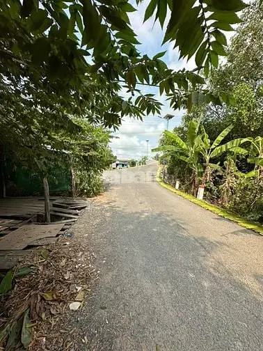 Bán Hoặc Cho Thuê Kho Long An, Vĩnh Đại Tân Hưng, 2300M2, Giá Tốt