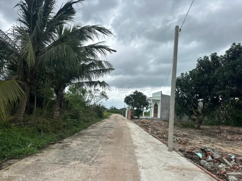 6006545 ảnh đại diện 1