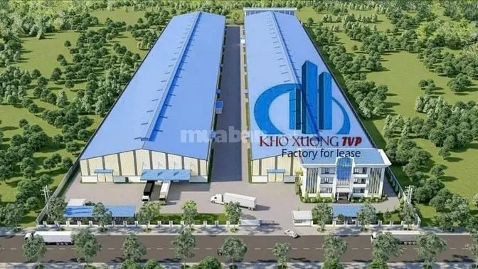 6006143 ảnh đại diện 1