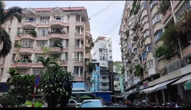 6006544 ảnh đại diện 1