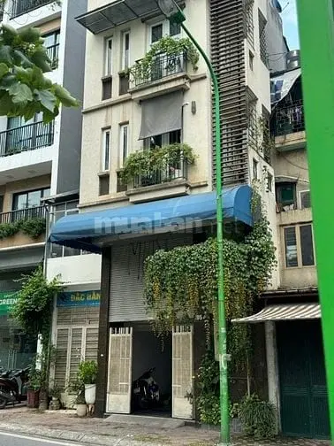 6006319 ảnh đại diện 1