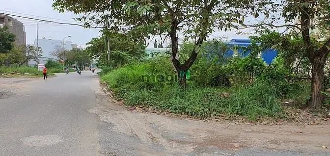6006461 ảnh đại diện 1