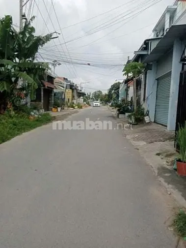 6006197 ảnh đại diện 1