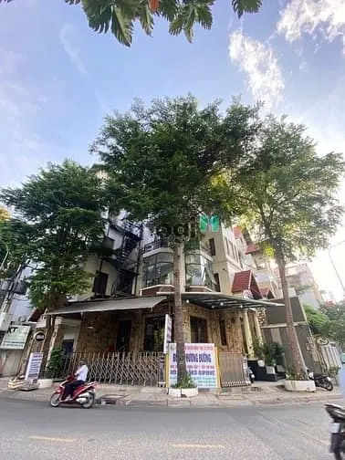 6005990 ảnh đại diện 1