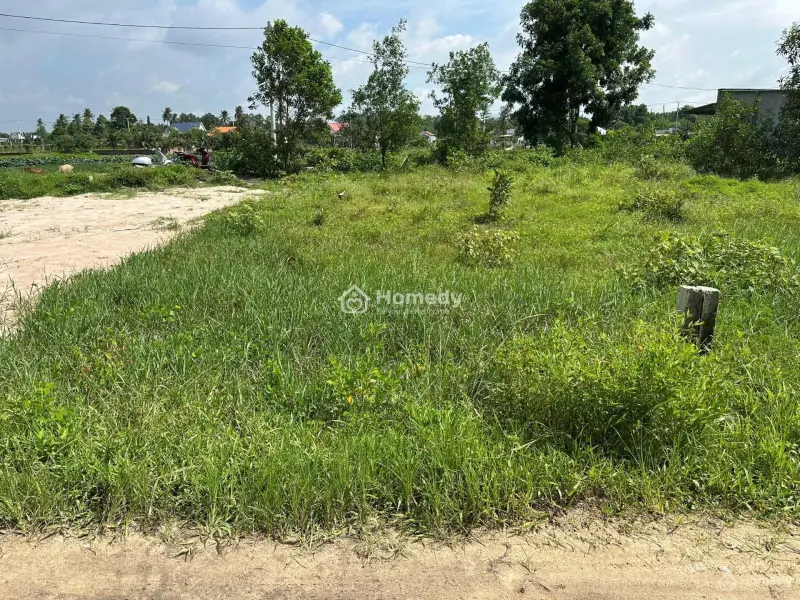 6006148 ảnh đại diện 1
