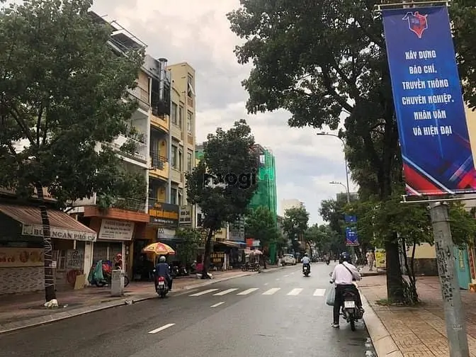 6006281 ảnh đại diện 1