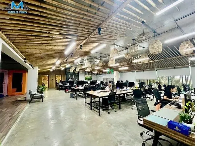 6006181 ảnh đại diện 1