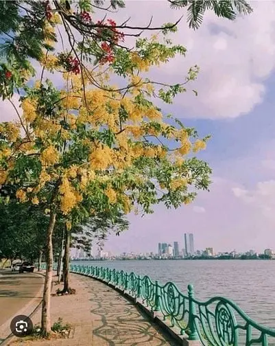 Bán Nhà Khu Quân Đôi Ngõ 269 Lạc Long Quân Tây Hồ Hà Nội
