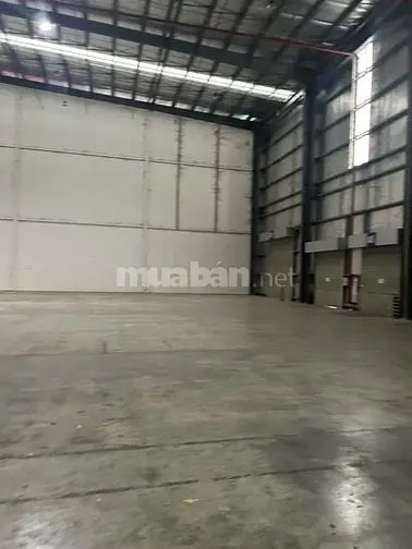 6006238 ảnh đại diện 1