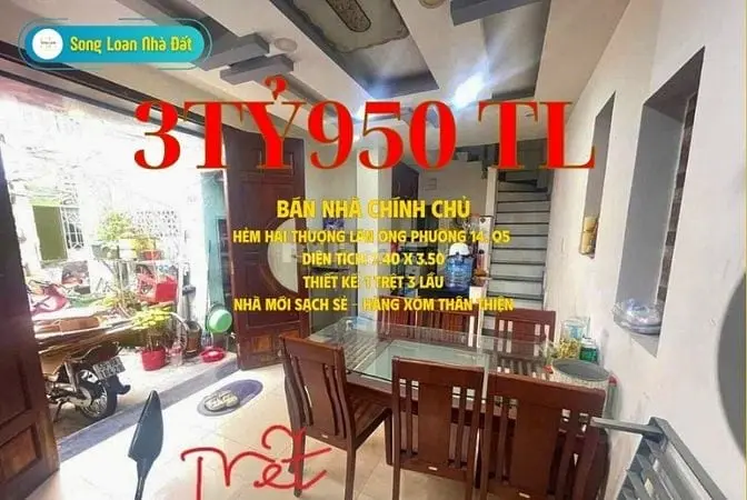 6006533 ảnh đại diện 1