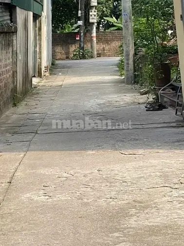 6006013 ảnh đại diện 1