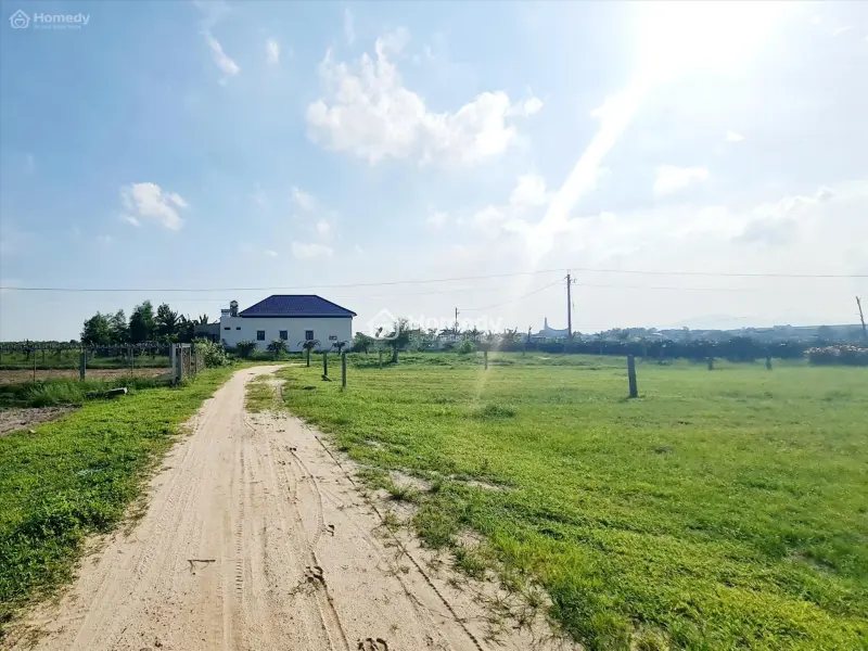 6006546 ảnh đại diện 1