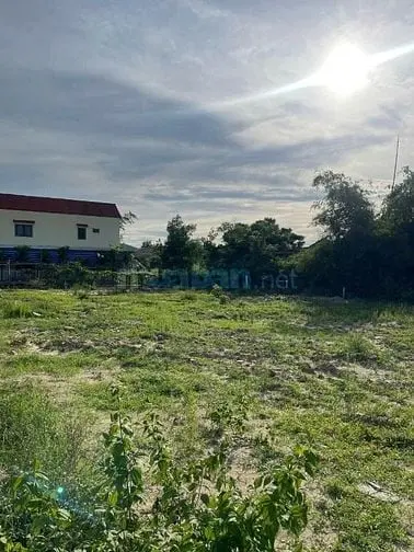6006171 ảnh đại diện 1