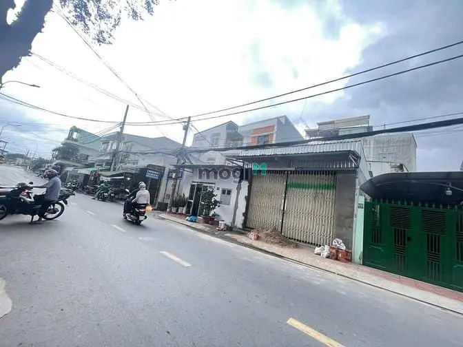 6006493 ảnh đại diện 1