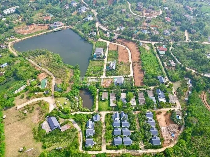 6006425 ảnh đại diện 1