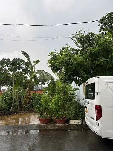 6006184 ảnh đại diện 1