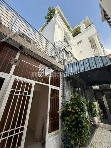 6006474 ảnh đại diện 1
