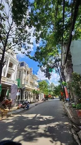 6006525 ảnh đại diện 1