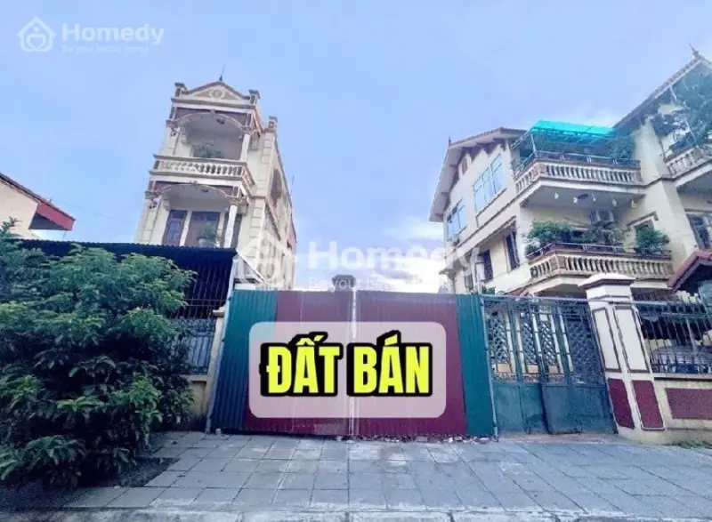 6006883 ảnh đại diện 1