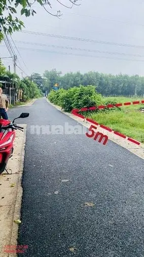 6007197 ảnh đại diện 1