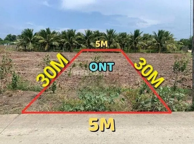 6006772 ảnh đại diện 1