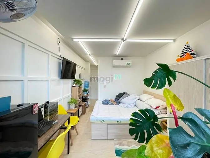 6007175 ảnh đại diện 1