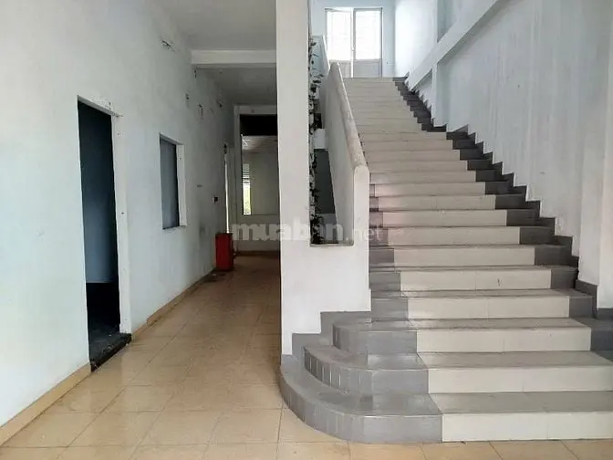Chính Chủ Cho Thuê Tòa Nhà Cô Giang Quận 1