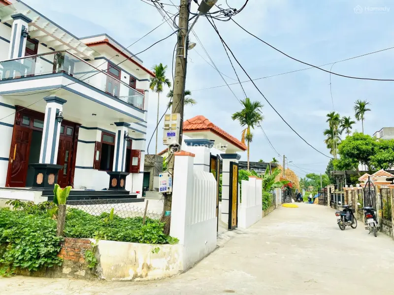 6007173 ảnh đại diện 1