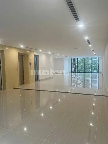 Bán Tòa Nhà Văn Phòng Xã Đàn, Đống Đa, Dt 150M2, 9T, Mt 6.5M,