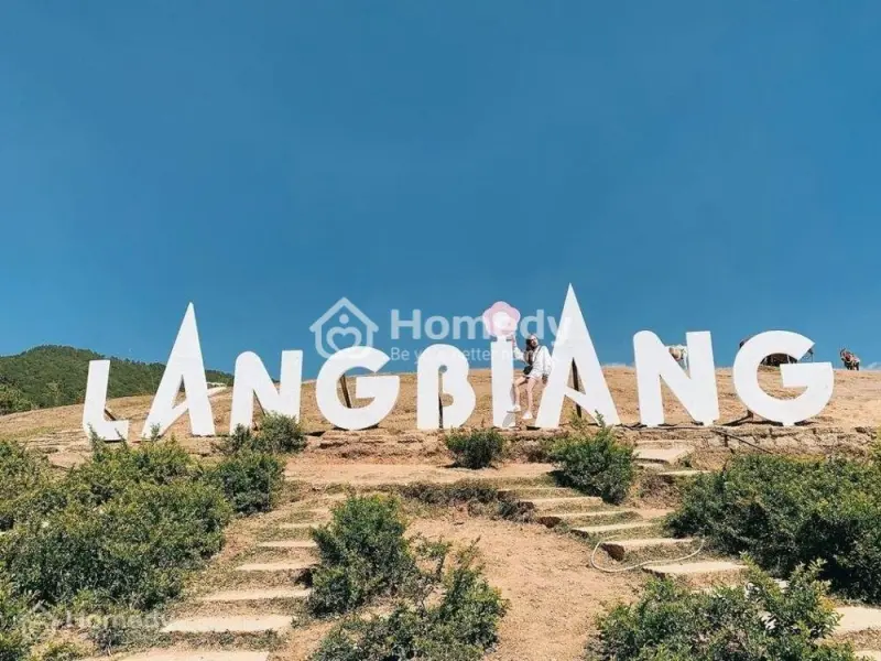 Cần Bán Lô Đất Bằng Phẳng Có Sẵn Vườn Cây Ăn Trái Tại Mê Linh-Lâm Hà