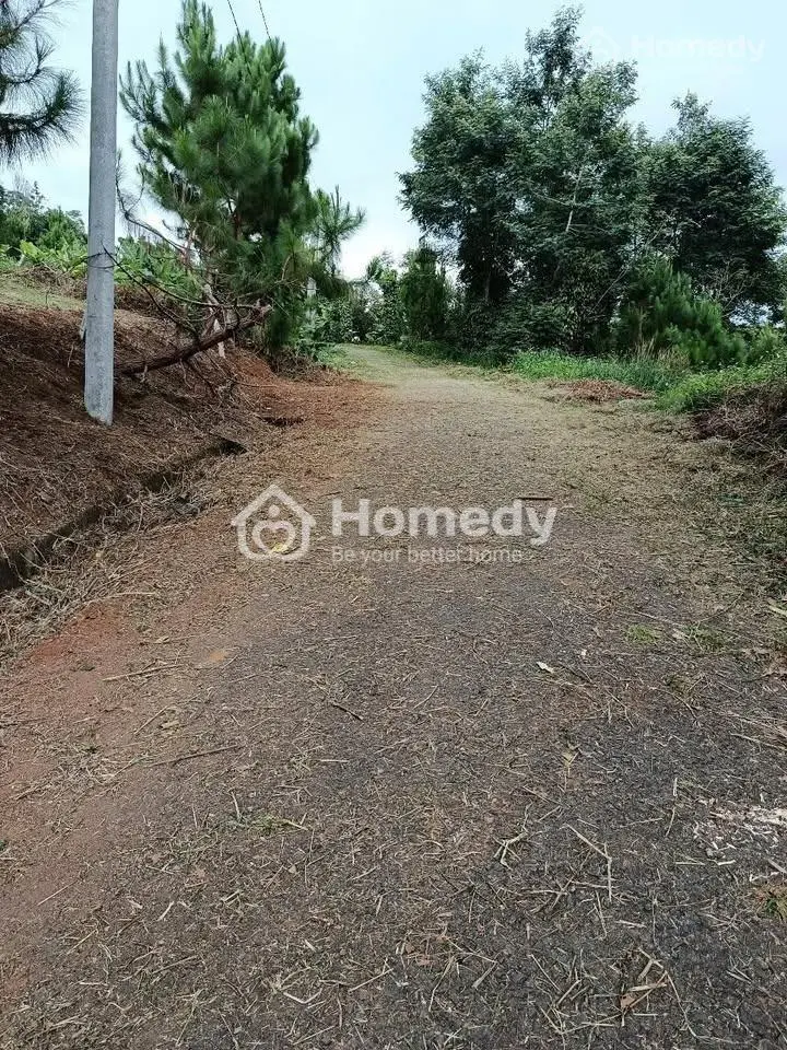 Chính Chủ Em Cần Bán Lô Đất Nghỉ Dưỡng Săn Mây Tại Lộc Thành, Đất Đẹp Giá Trị Cao