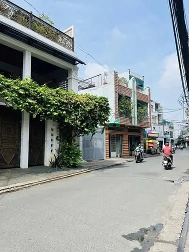6007059 ảnh đại diện 1
