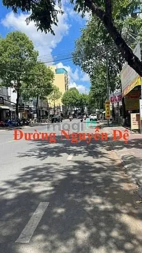 6007253 ảnh đại diện 1