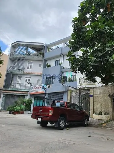 6007004 ảnh đại diện 1