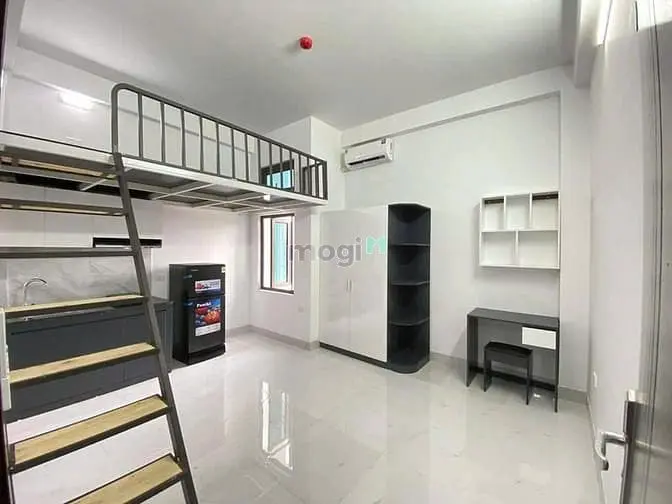6006977 ảnh đại diện 1