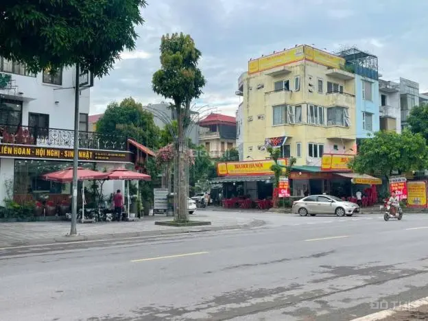 6006599 ảnh đại diện 1