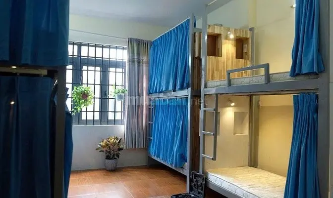 6006717 ảnh đại diện 1