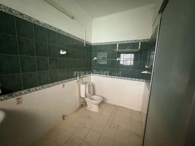 6007264 ảnh đại diện 1