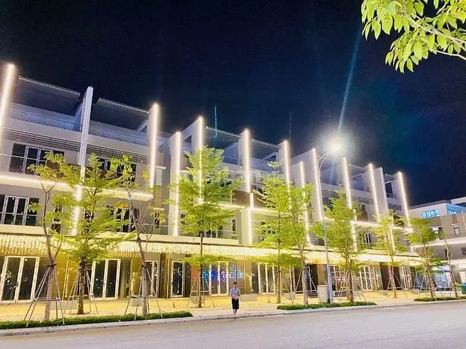 6006832 ảnh đại diện 1