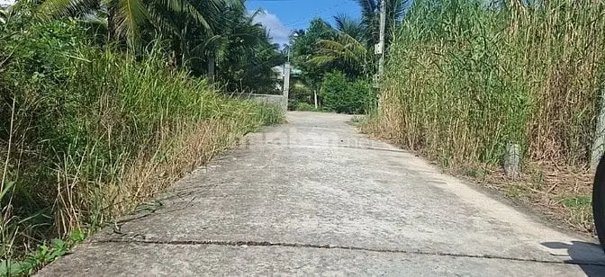 6006665 ảnh đại diện 1