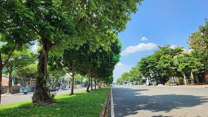 6006683 ảnh đại diện 1