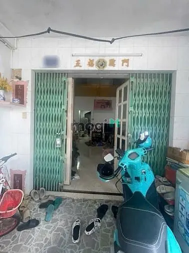 6006796 ảnh đại diện 1