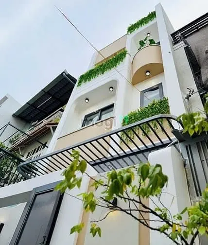 6006884 ảnh đại diện 1