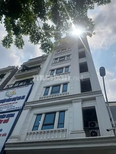 6007191 ảnh đại diện 1