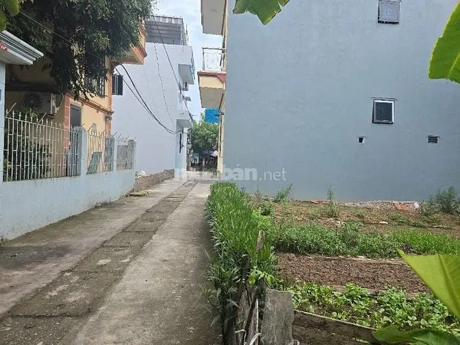 Gia Đình Cần Bán Đất Khu Vực Chợ Quảng Bị