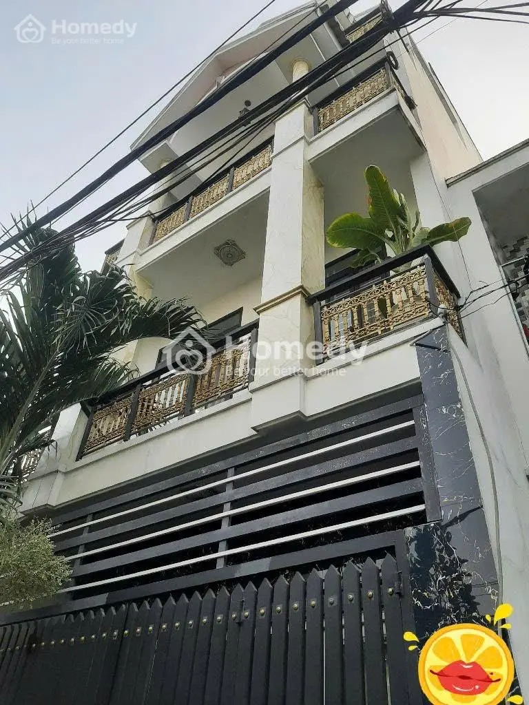 6006749 ảnh đại diện 1