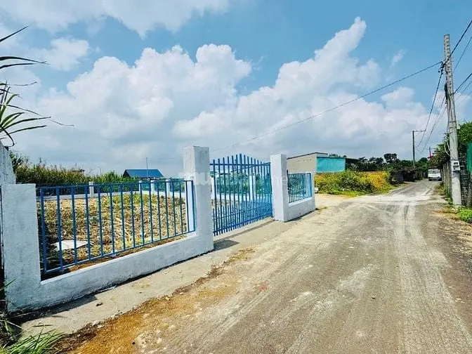 6006846 ảnh đại diện 1