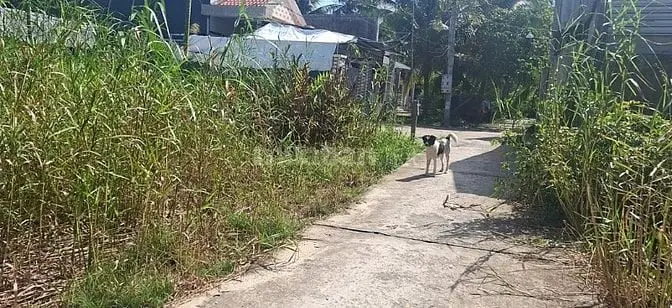 Bán Nền Mặt Tiền Gần Kế Bên Khu Du Lịch Đường Sông Xã Thanh Tân