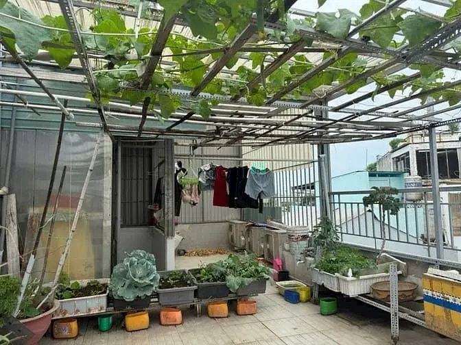 6006714 ảnh đại diện 1